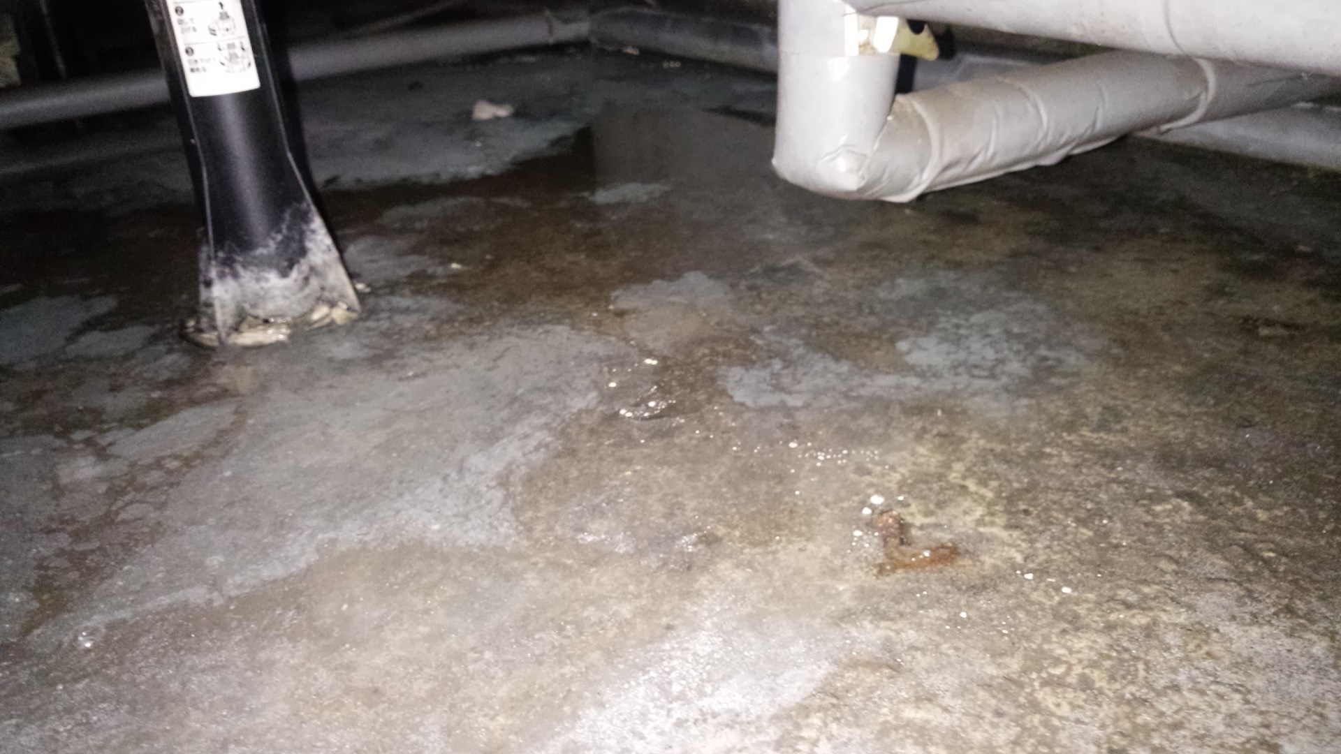 クリックで拡大 柱の水の跡から予想すると、長い間水が溜まった状態だったのではないかと思われます。